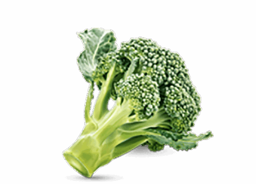 h3-product11 h3-product11