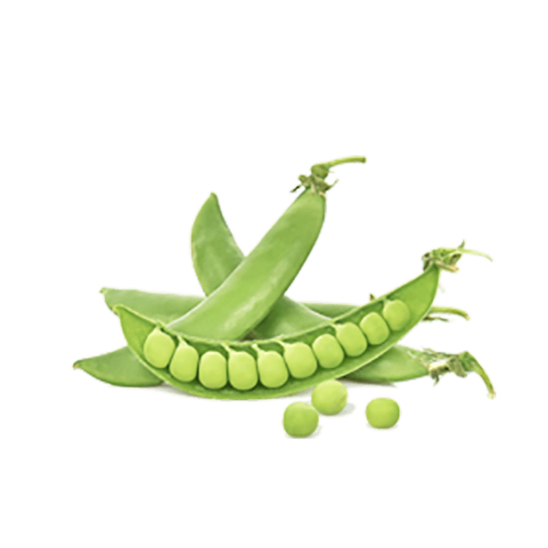 h3-product7 h3-product7